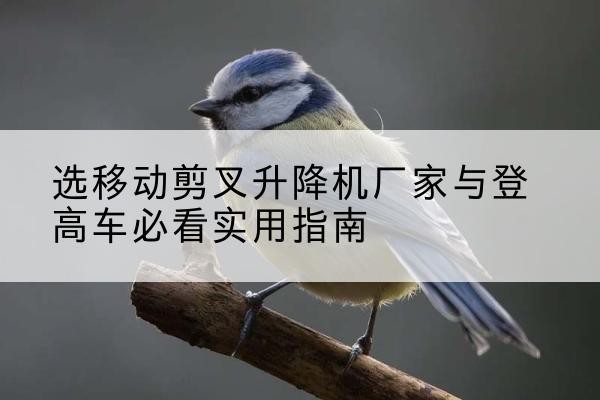 稻城电动升降机厂家-选移动剪叉升降机厂家与登高车必看实用指南