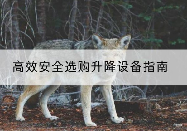 稻城升降货梯厂家推荐-*安全选购升降设备指南