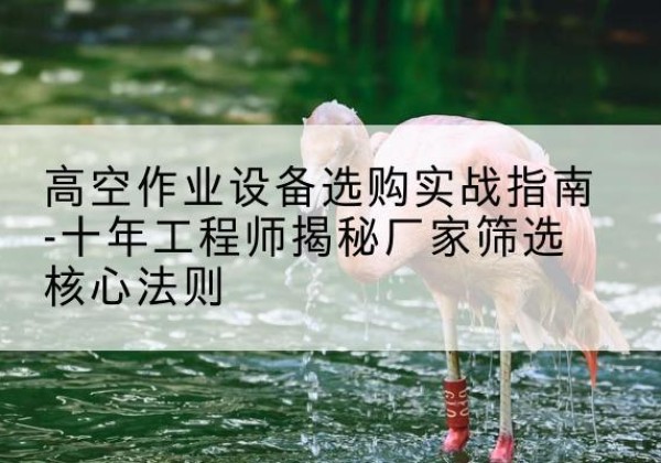 稻城剪叉式升降机厂家-高空作业设备选购实战指南-十年工程师揭秘厂家筛选核心法则