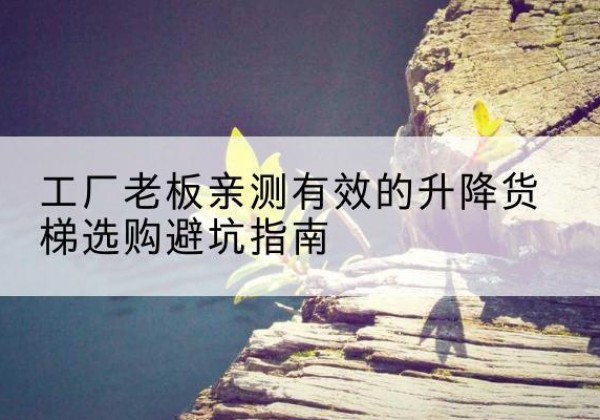 稻城升降货梯怎么选-工厂老板亲测有效的升降货梯选购避坑指南
